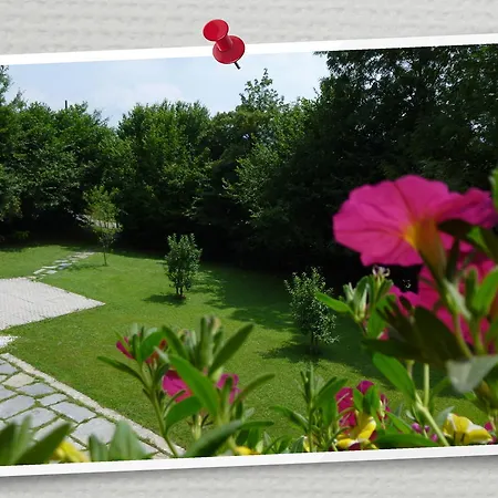 Bed & Breakfast B&B Terra E Nubi Santa Giustina (Belluno)