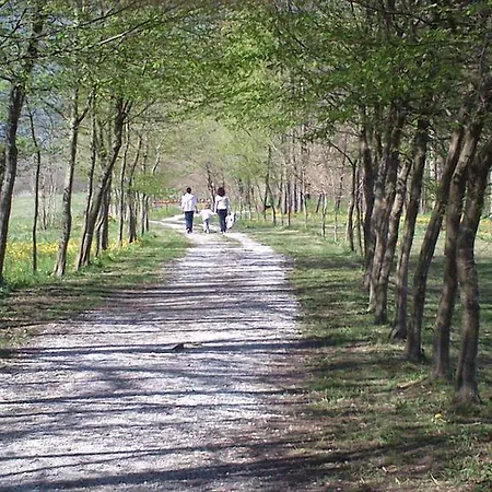 特拉努比住宿加早餐旅馆 * Santa Giustina (Belluno)