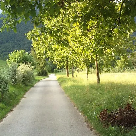 Bed & Breakfast B&B Terra E Nubi Santa Giustina (Belluno)